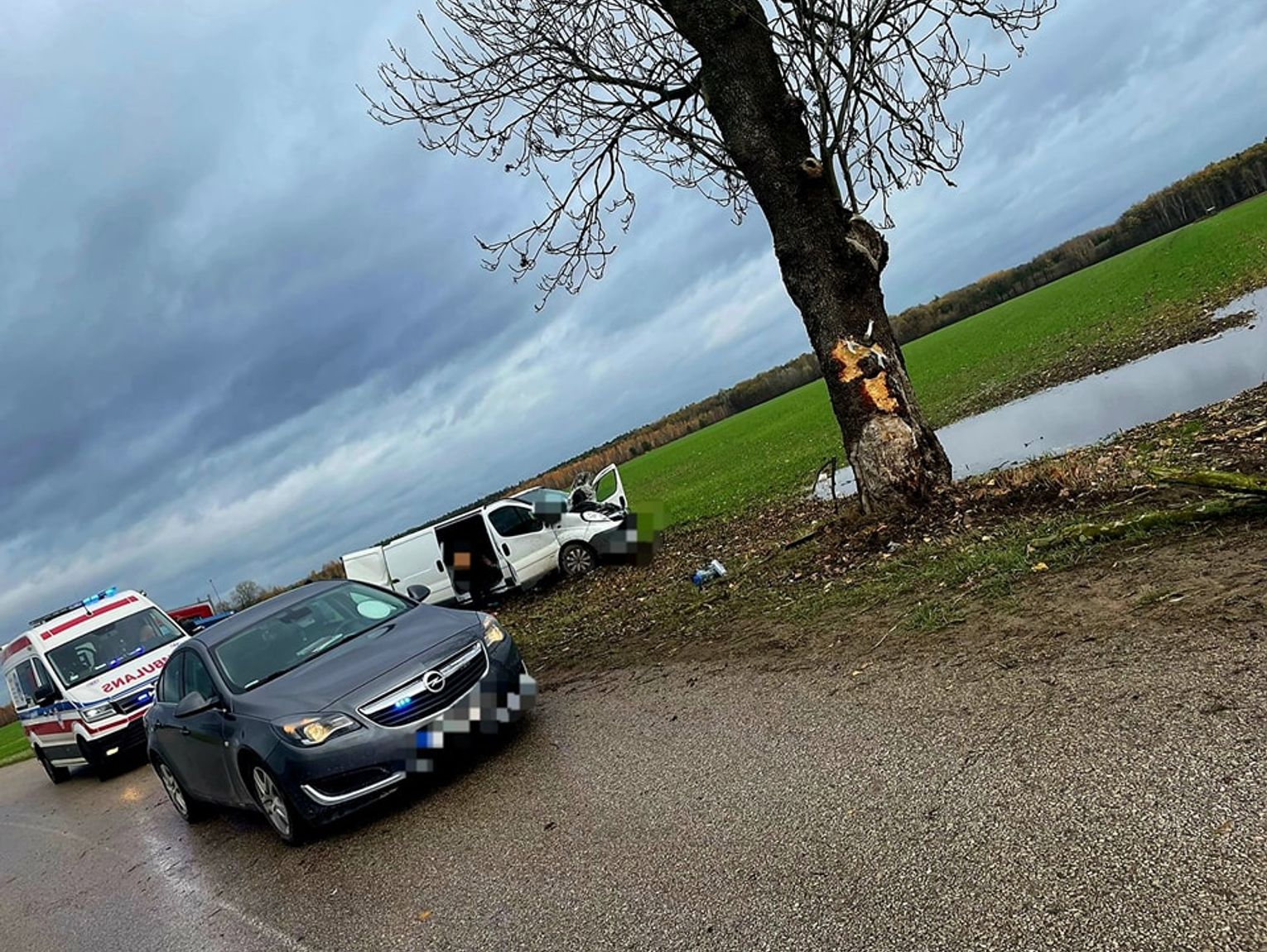 Kolejny pijany kierowca Ten wjechał w drzewo