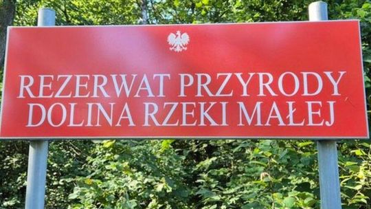 Bagna, bobry i rzadkie gatunki. Nowy rezerwat pod Piasecznem