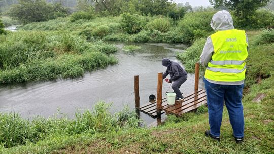 Brunatna, pieniąca się woda i śnięte ryby w Jeziorce. WIOŚ kontroluje oczyszczalnię