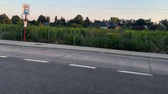 Dino chce wybudować market w Słomczynie. Gmina rozpoczęła zmianę planu
