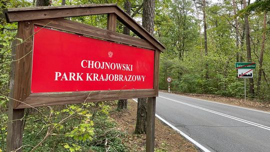 Głośny spór – Imprezy w środku lasu kosztem zdrowia mieszkańców i zwierząt?