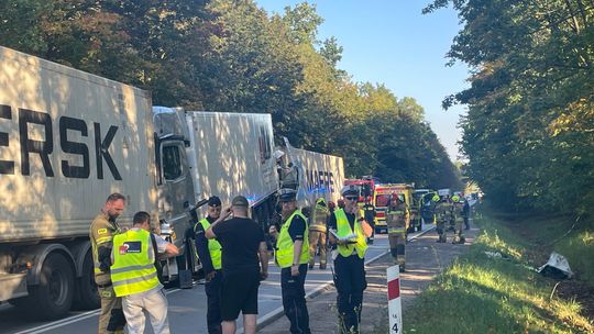 Kabina ciężarówki zmiażdżona między naczepami. Groźny wypadek na DK79 w Pilawie