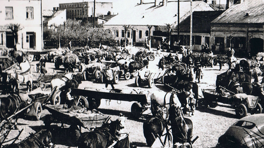 Lornion z targu w Piasecznie