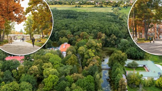 Muzeum milionera pod Konstancinem. Konserwator mówi „stop”, gmina rezygnuje z opłaty