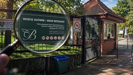 Setki tysięcy złotych na dodatkowe umowy w Ogrodzie Botanicznym PAN w Powsinie. Sprawę badają CBA i prokuratura