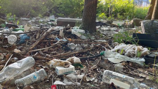 Sterty śmieci tuż obok galerii N‑Park. Wieloletni problem w Starej Iwicznej
