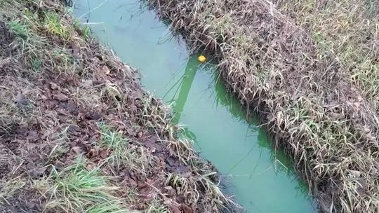 Trwa ustalanie źródła zanieczyszczeń Kanałku Jeziorki