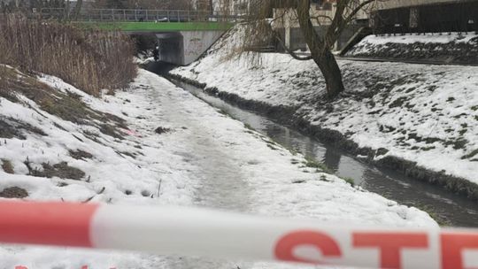Zwłoki pod mostem - przechodnie słyszeli wystrzał