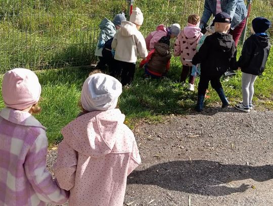 225 worków śmieci zebranych podczas Sprzątania Świata w gminie Góra Kalwaria