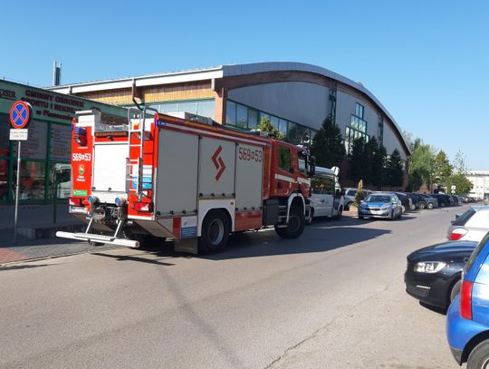 Alarmy bombowe w kolejnych szkołach