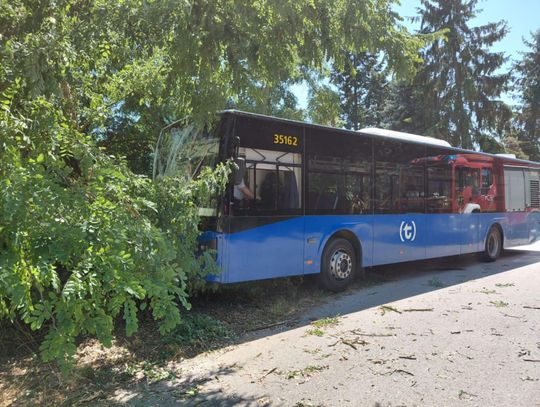 Autobus na poboczu! Wypadek w Jeziórku
