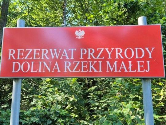 Bagna, bobry i rzadkie gatunki. Nowy rezerwat pod Piasecznem
