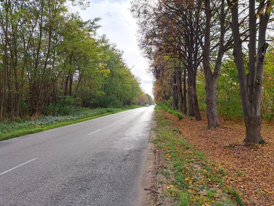 Chcą ścieżki rowerowej na „drodze śmierci”