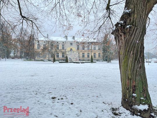 Chłodne dni w Piasecznie - prognoza na koniec grudnia i początek nowego roku Chłodne dni w Piasecznie - prognoza na koniec grudnia i początek nowego roku