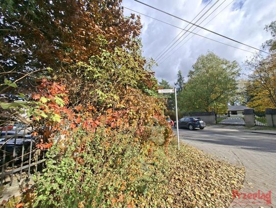 Deszczowe dni w Piasecznie – prognoza na początek listopada