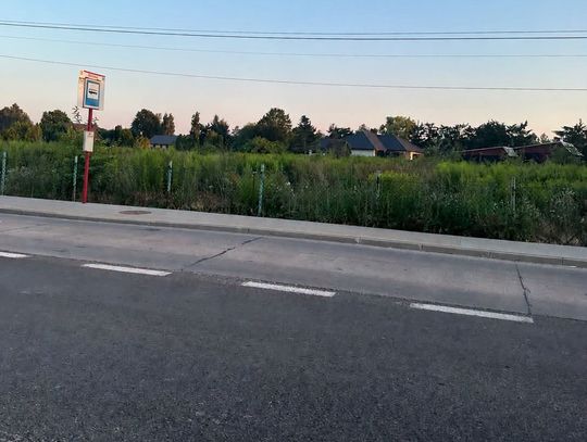 Dino chce wybudować market w Słomczynie. Gmina rozpoczęła zmianę planu