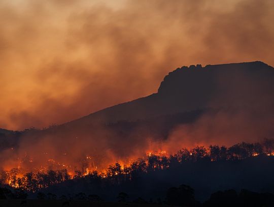 Dramatyczny raport nt. zmian klimatu. Co nas czeka w przyszłości?