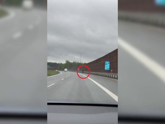 Ekspresówką do przystanku