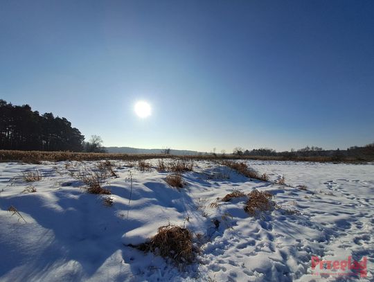 Ekstremalne warunki pogodowe w Piasecznie – prognoza na nadchodzące dni
