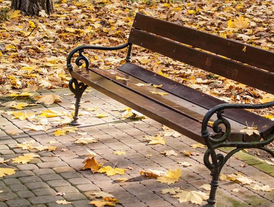 Gdzie postawić ławki