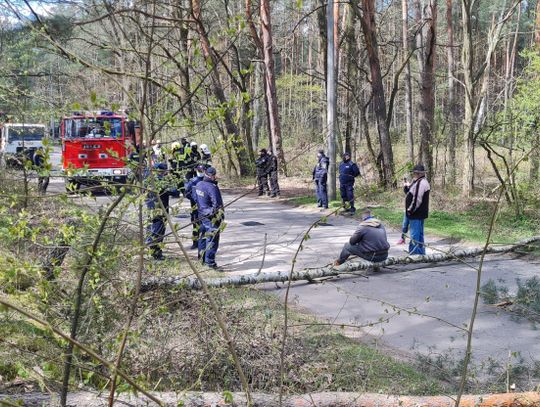 Gmina ma pomysł na drogę do Linina