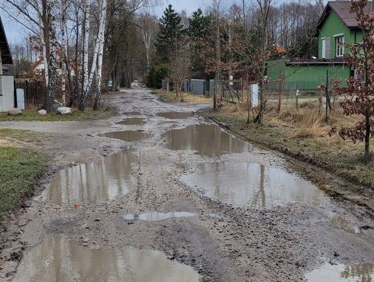 Henryków-Urocze. Na Żabiej toną w błocie