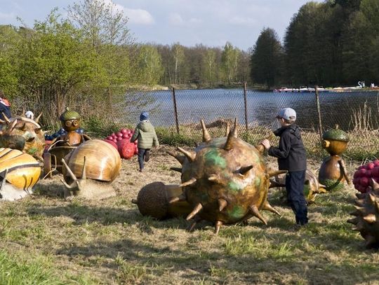 Jak mieszkańcy przyjęli Planetę Zalesie?