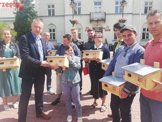 Jerzyki przeciwko komarom