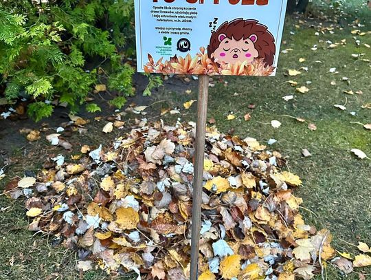 Jeżowe mieszkanka Jeżowe mieszkanka