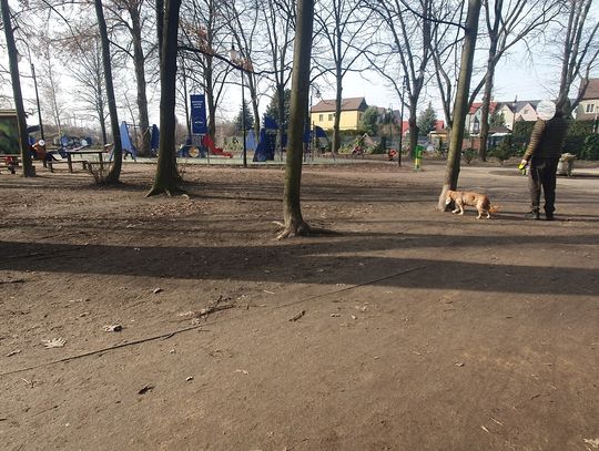 Józefosław. Wzmożone kontrole straży miejskiej w parku