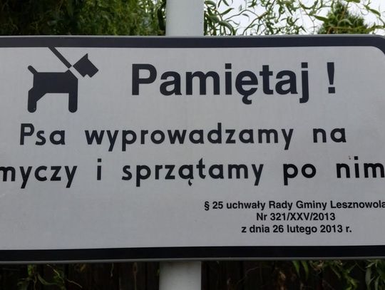 Kaganiec kością niezgody