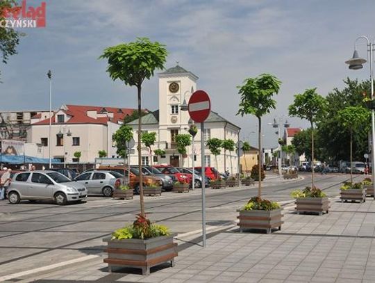 Katalpy zamiast klonów