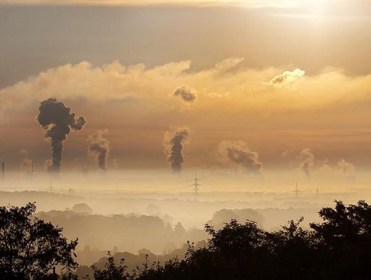 Każdy może sprawdzić jakość powietrza