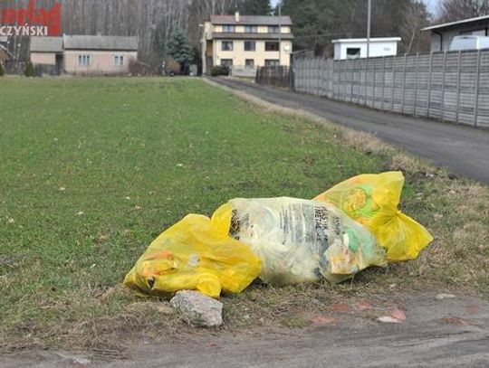 Kolejne podwyżki opłat za śmieci