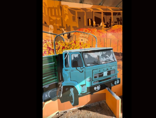 Kolejny mural przypomina historię Hortexu. Tym razem na przystanku pojawiły się jabłka