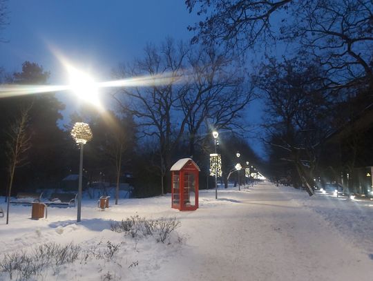 Konstancin-Jeziorna planuje zieloną przyszłość. Trwa poszukiwanie wykonawcy strategicznego dokumentu