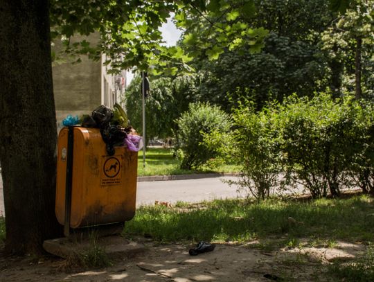 Kosze na psie odchody są przepełnione - skarżą się mieszkańcy