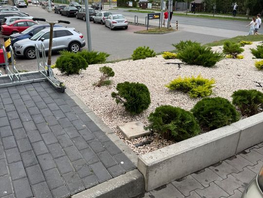 Kosze zniknęły, problem pozostał?