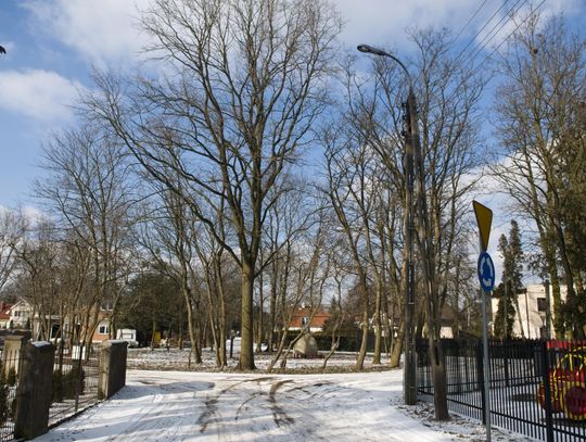 Krzewy na rondzie czy 100-letnie lipy w ogrodzie?