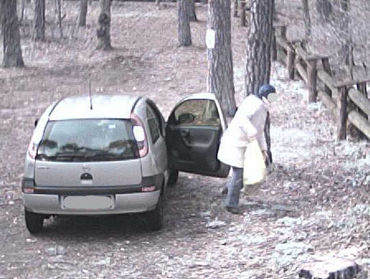 Las czy śmietnik? Problem ciągle rośnie Las czy śmietnik? Problem ciągle rośnie