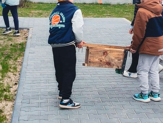 Młodzi w wersji eko Młodzi w wersji eko