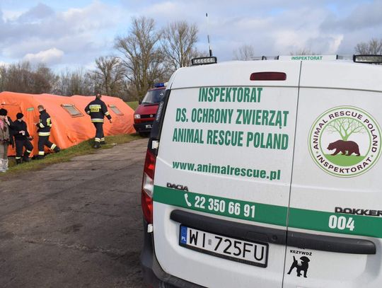 Na czterech łapach - kronika ARP