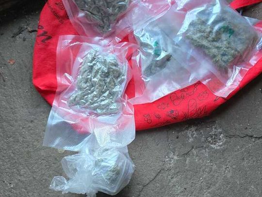 Narkotyki ukryte w gołębniku. 29-latek zatrzymany w gminie Piaseczno Narkotyki ukryte w gołębniku. 29-latek zatrzymany w gminie Piaseczno