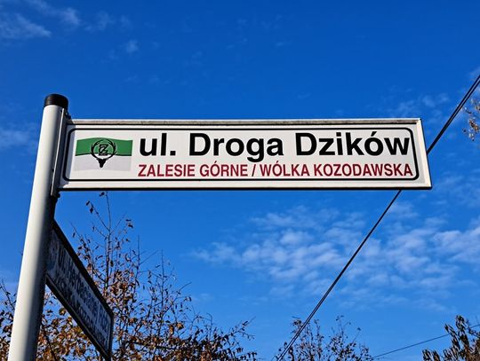 Nazwy ulic zaskakują i bawią