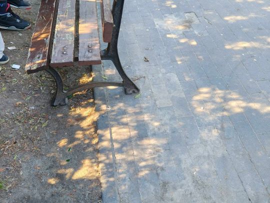 Niebezpieczne pręty przy skateparku w Nowej Iwicznej. Sołtys apeluje do rodziców