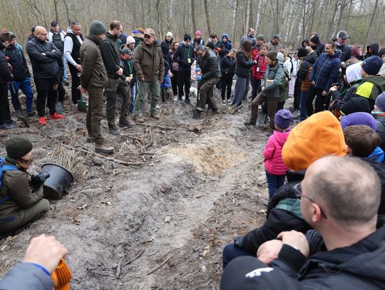 Niech rośnie nam las!