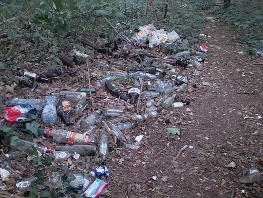 Nielegalne wysypiska śmieci – wciąż duży problem gminy