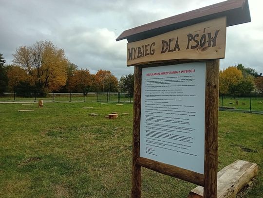 Nowy wybieg dla psów w Piasecznie już w październiku