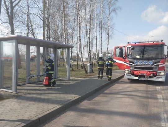 Odkażają przystanki