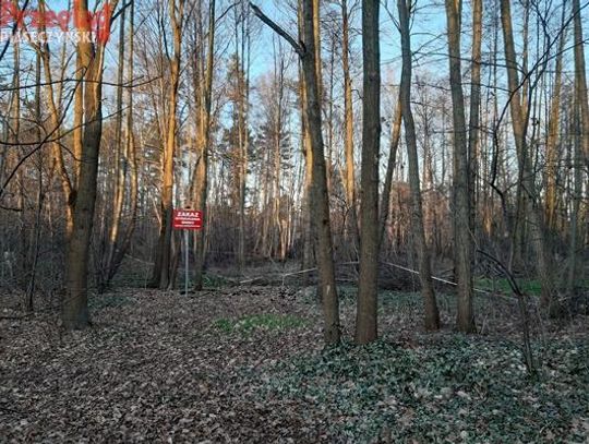 Park Redutowa